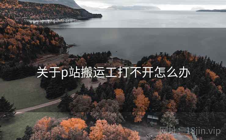 关于p站搬运工打不开怎么办