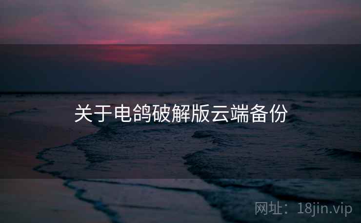 关于电鸽破解版云端备份