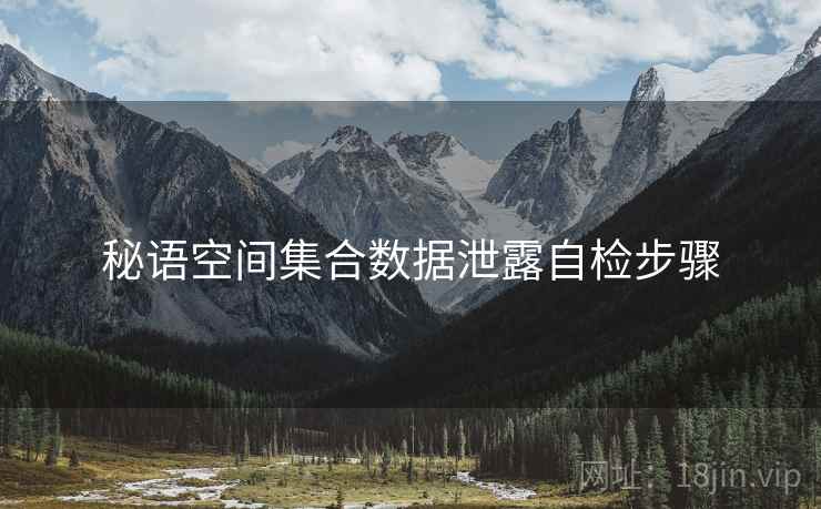 秘语空间集合数据泄露自检步骤